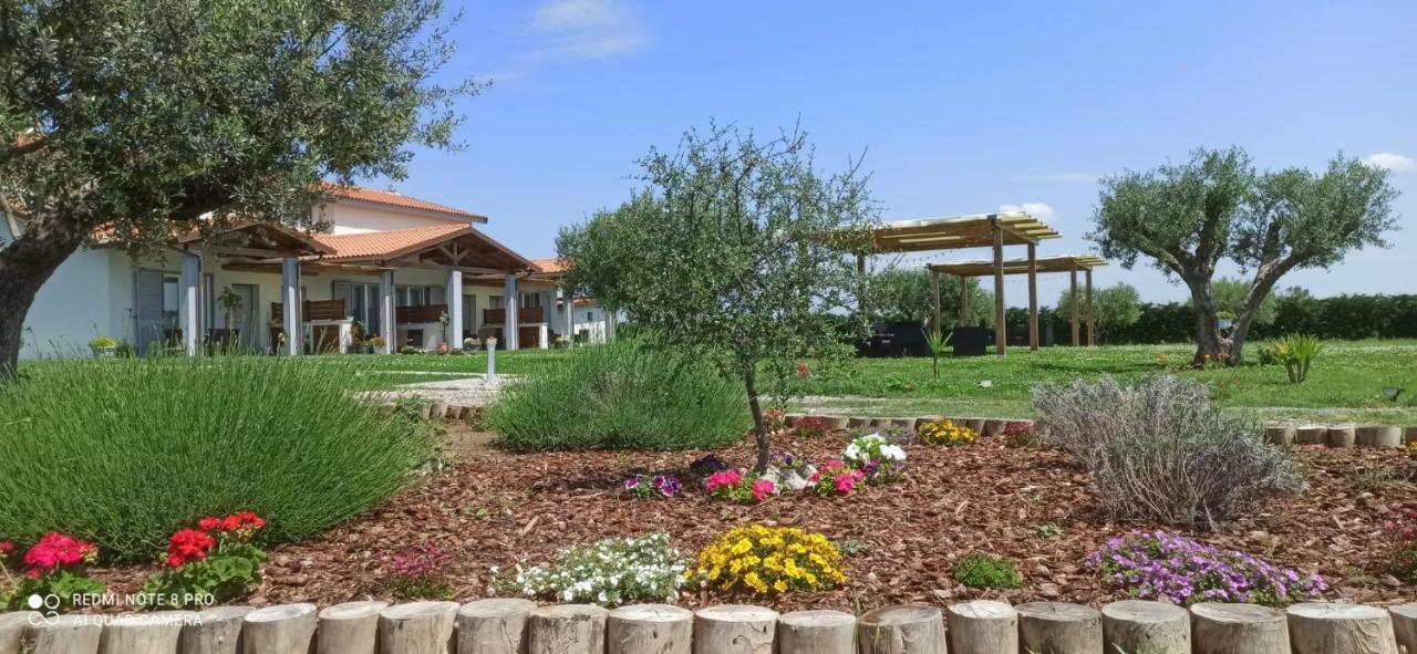 Residence La Pace - Pool & Relax Marina di Grosseto Exterior foto