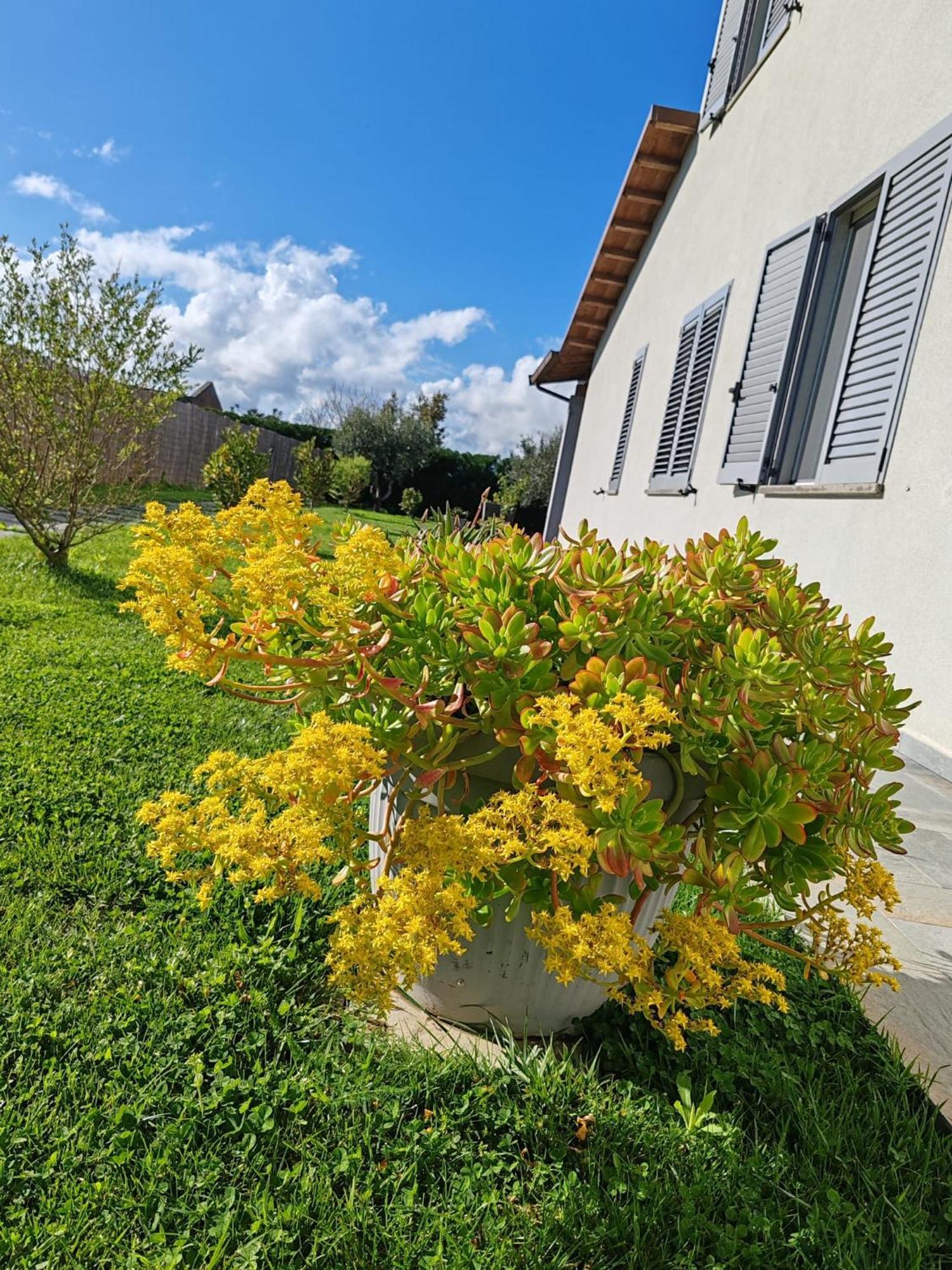 Residence La Pace - Pool & Relax Marina di Grosseto Exterior foto